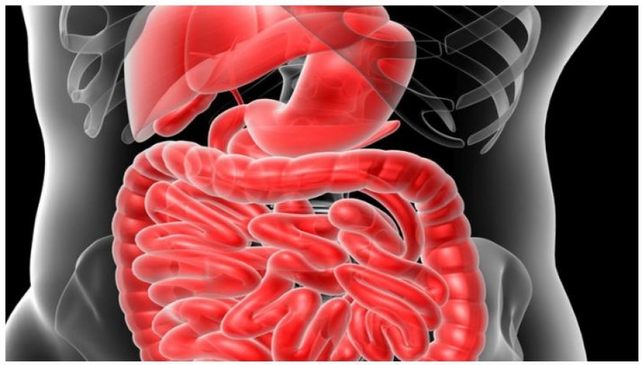 Could Viagra, Cialis Help Boost Colon Cancer Survival?